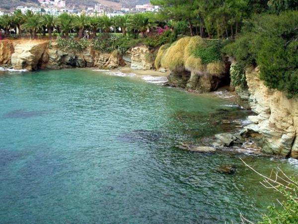 A small studio with a very big veranta