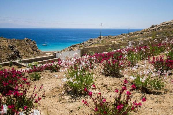 Villa ANAIS 1 MYKONOS