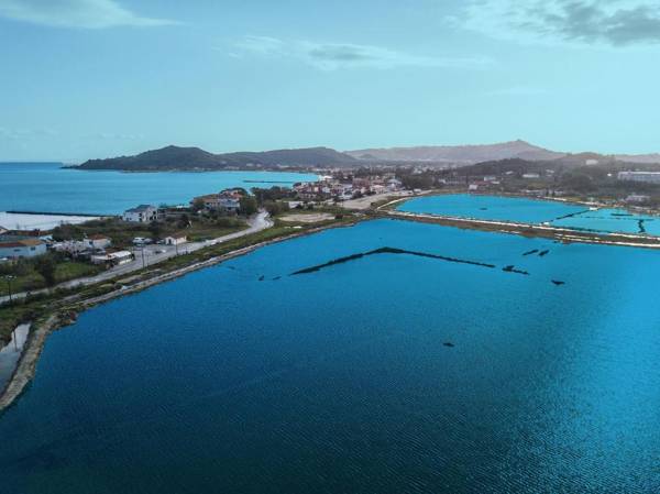 Aphrodite Studios & Suites