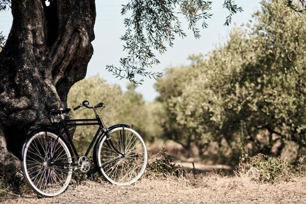 Lesante Cape Resort & Villas a member of The Leading Hotels of the World