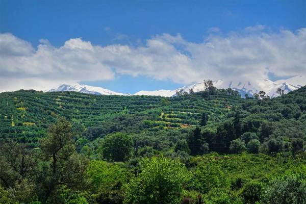 Anthos Village