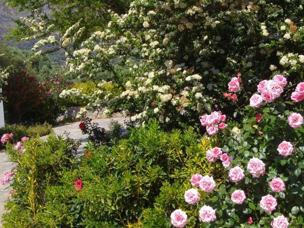 Chic Villa in Lefkogia Crete with Swimming Pool