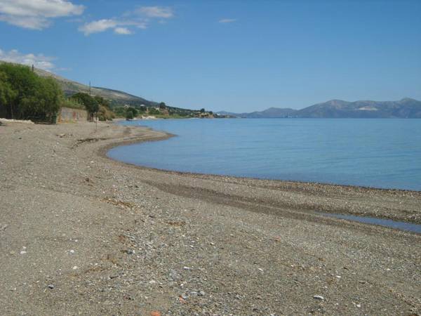 Flora's Beach House Your House On The Beach