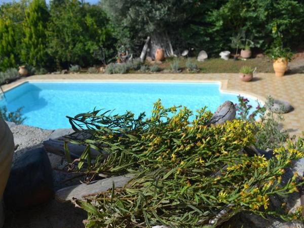 Spacious Holiday Home near Sea in Nerotrivia