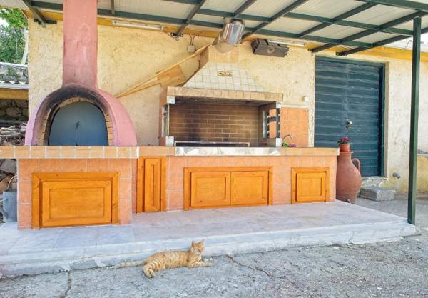 Artemis Hill Studios