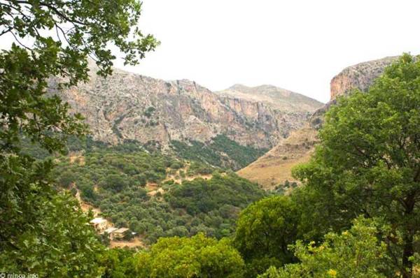 Tsikalaria Traditional Stone House