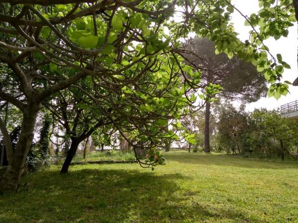 Palmyra Beachfront Studios