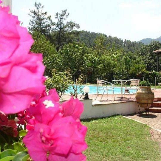 Studios Thea Fresh Rooms Thassos