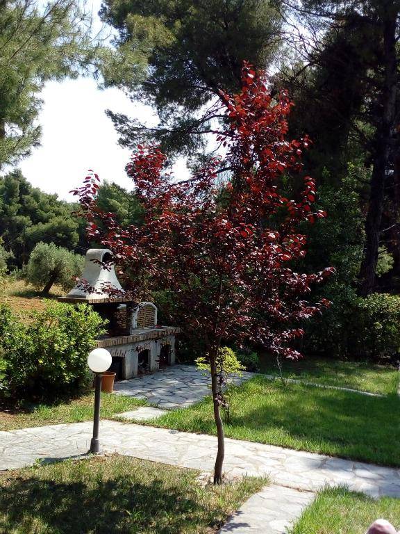 Sithonia Alekos Luxury Experience