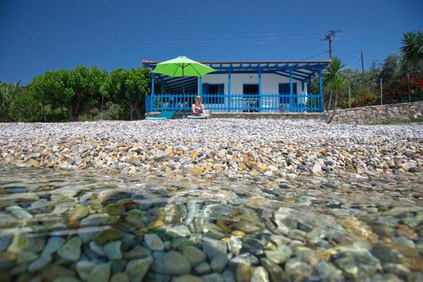 Seahorse cottage