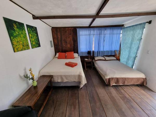 Estancia para turistas zona 4 rodeada de restaurantes bares y lugares de interes