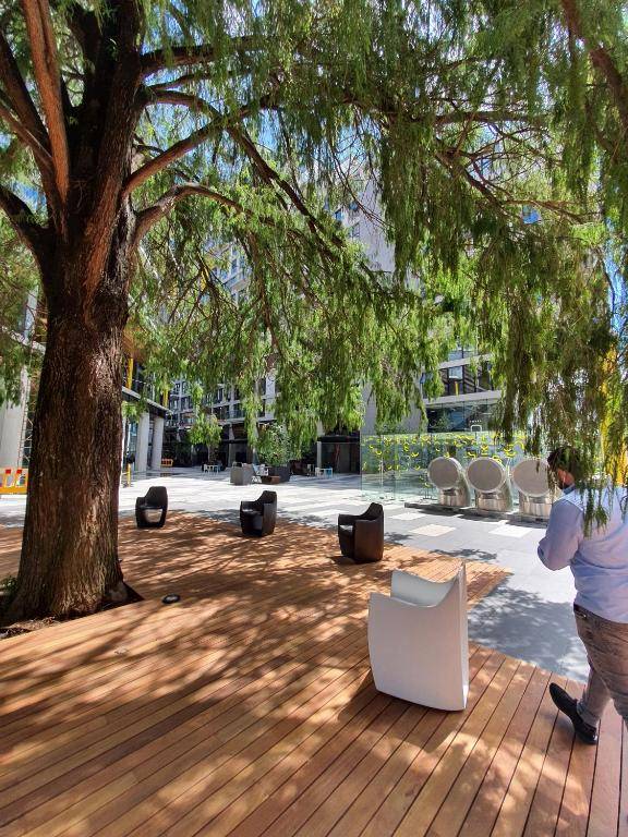 Estancia para turistas zona 4 rodeada de restaurantes bares y lugares de interes