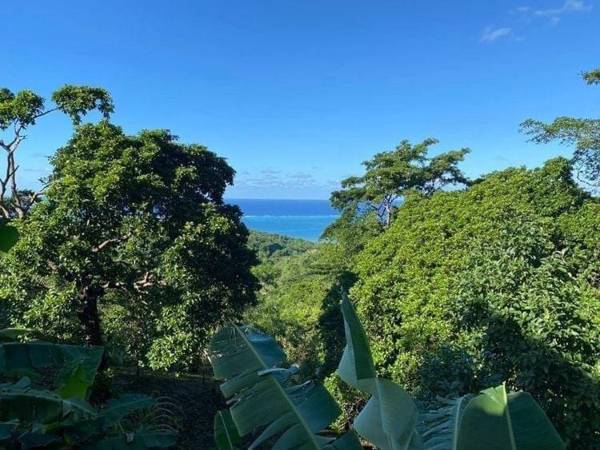 Roatan Forest View Apartment