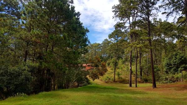 Cabañas Bosque llano de la Virgen