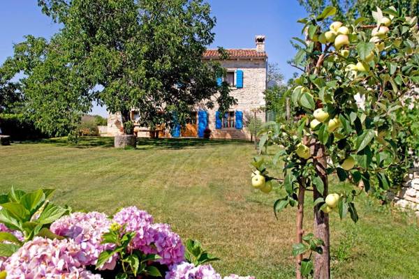 Agricola in Sveti Kirin (Haus für 8 Personen)