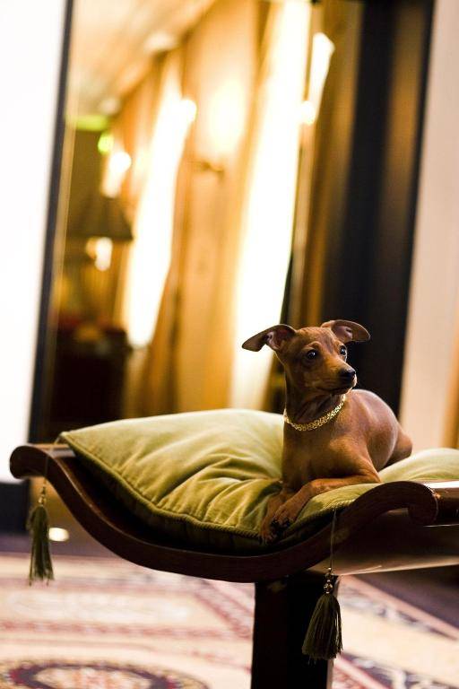 Esplanade Zagreb Hotel