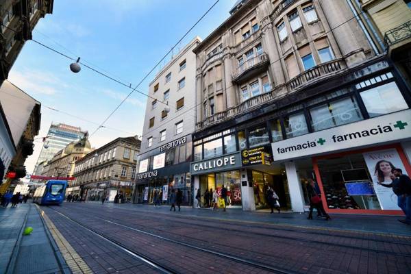 Studio Apartment Green Wall
