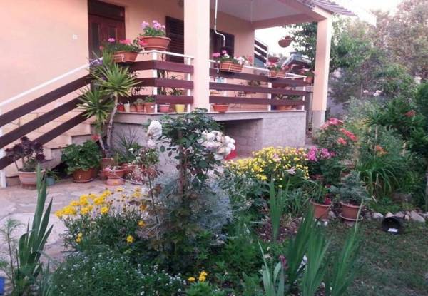 Apartment Dragica with nice view