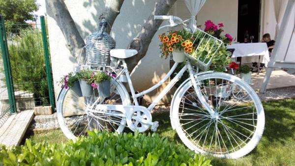 Apartments Anita Frane