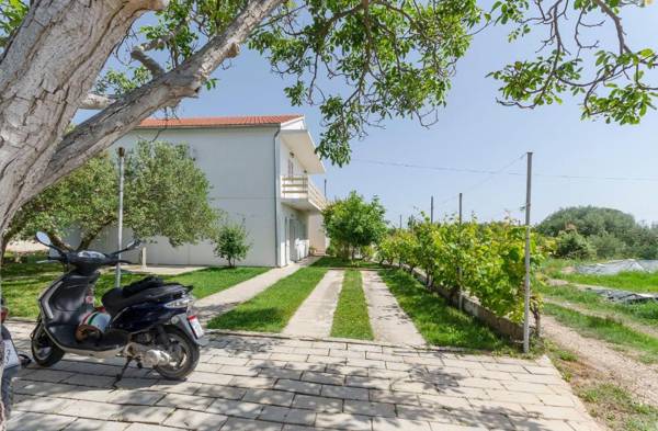 Apartment Summerteracea