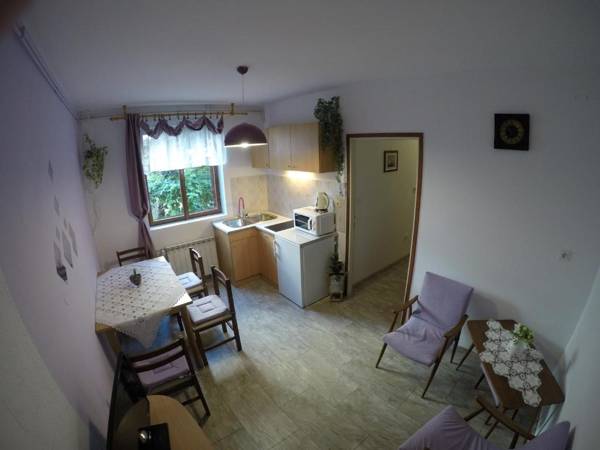 Antique apartment with balcony