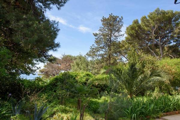 Best location Apartments