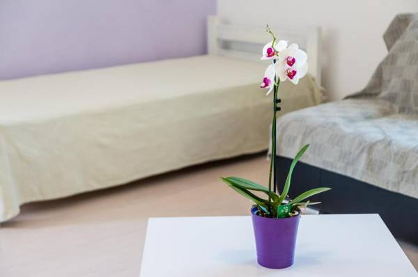 Apartments Kola's Mill