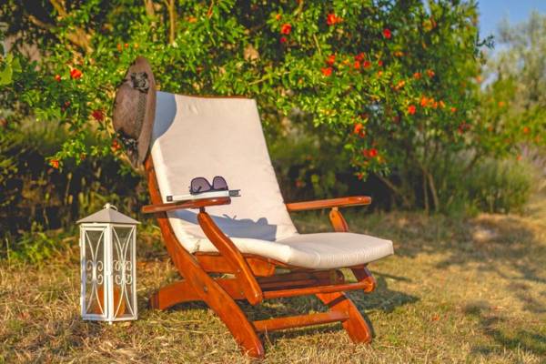 Leandra in Rovinjsko Selo * Istrien