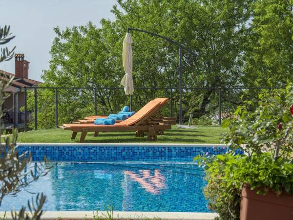 Wonderful modern villa with pool whirlpool and garden near Rovinj