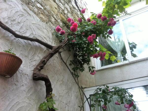 RESIDENCE Old Town Rab Accommodation