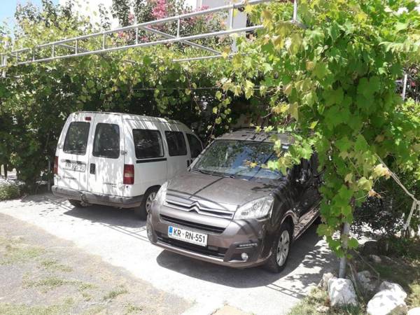 Daisy with new Bestway Pool