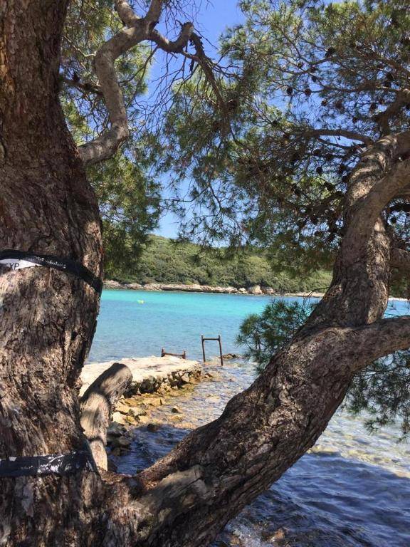 Apartments Villa Laura