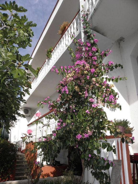 Apartments Pere - barbecue