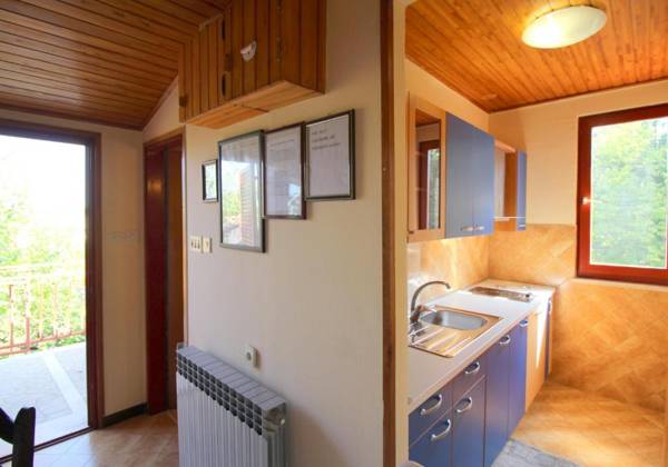 Apartments Franjo near center