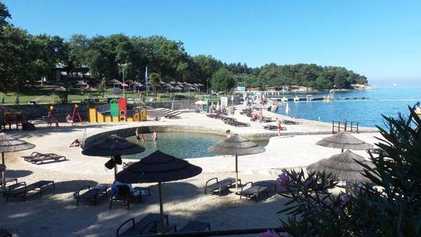 Apartment Beautiful Garden