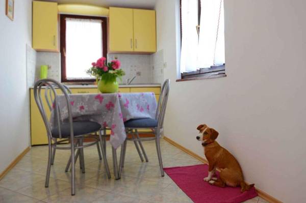 Apartments in Porec - Istrien 40038