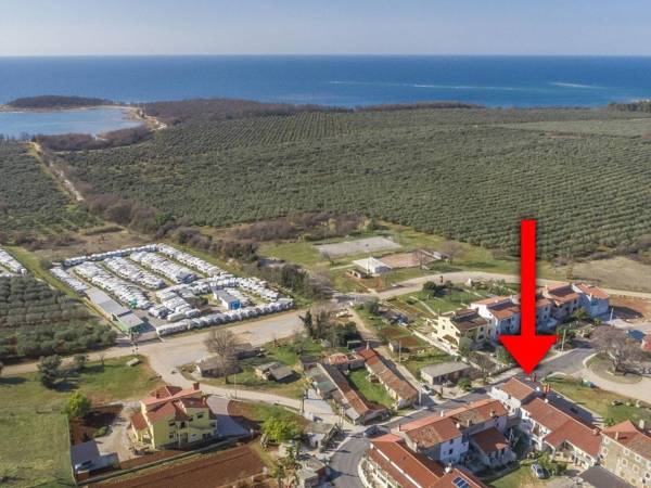 Beautiful decorated apartment with sea view near the olive groves and the sea