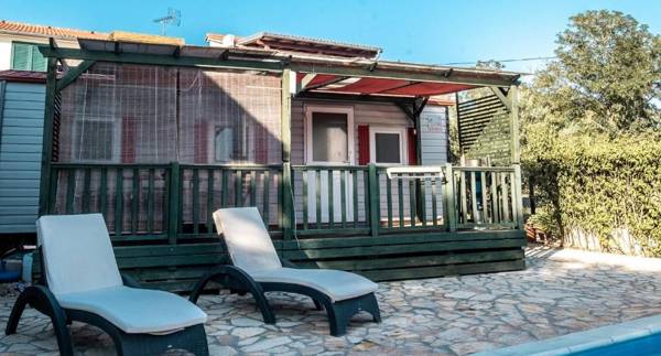 Family friendly apartments with a swimming pool Pakostane Biograd - 18980
