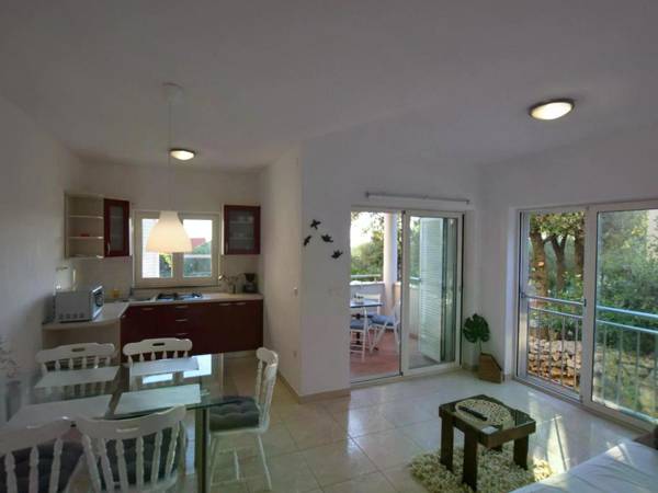 Spacious Apartment in Mandre with Terrace