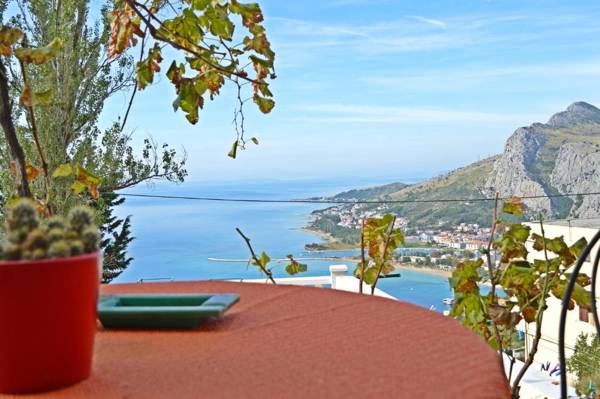 Apartment Ivana Borak