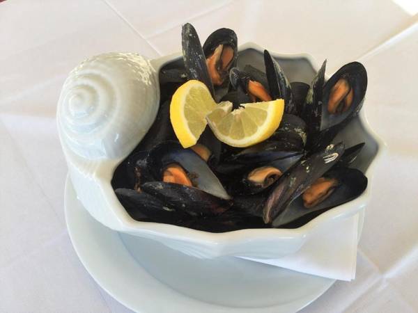 Rooms & Pansion Odmor