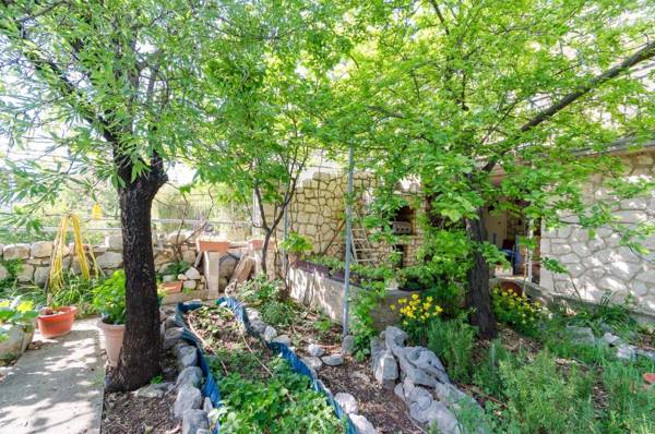 Apartments and Room Drazen