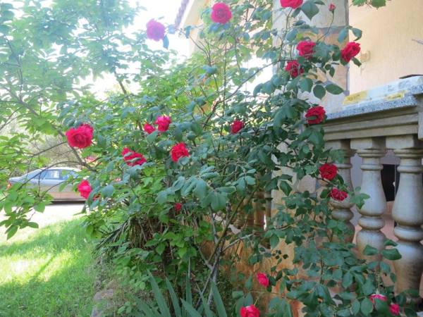 Studio apartment Aren