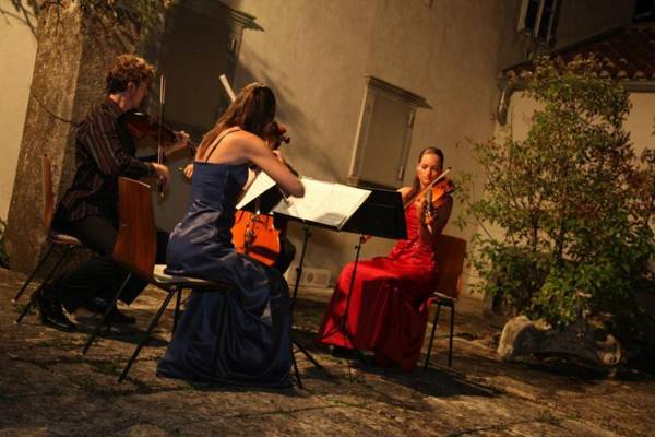 Elle Luxury Apartments Vantačići