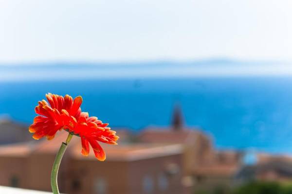 Apartments Luka's View