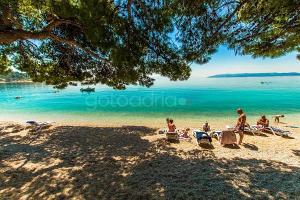 Beachfront Deluxe B&B