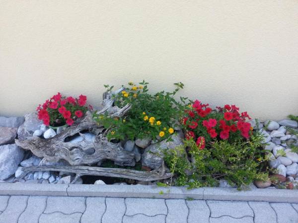 Apartments Villa Krasa