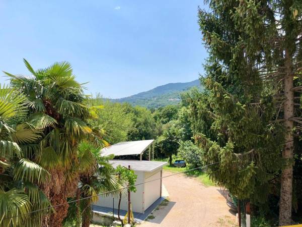 Holiday & Business Apartment