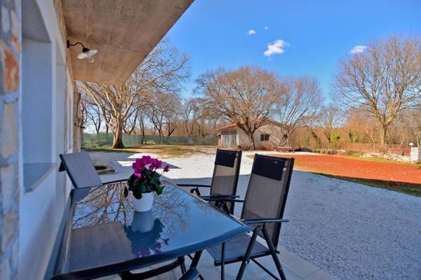 Apartment Mrgani 1814