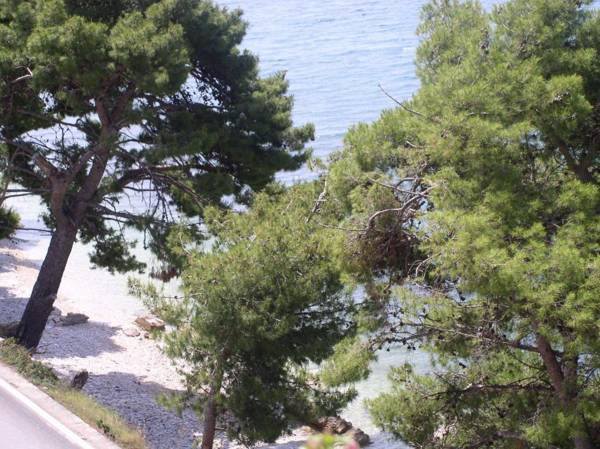 Apartments Milica - sea view